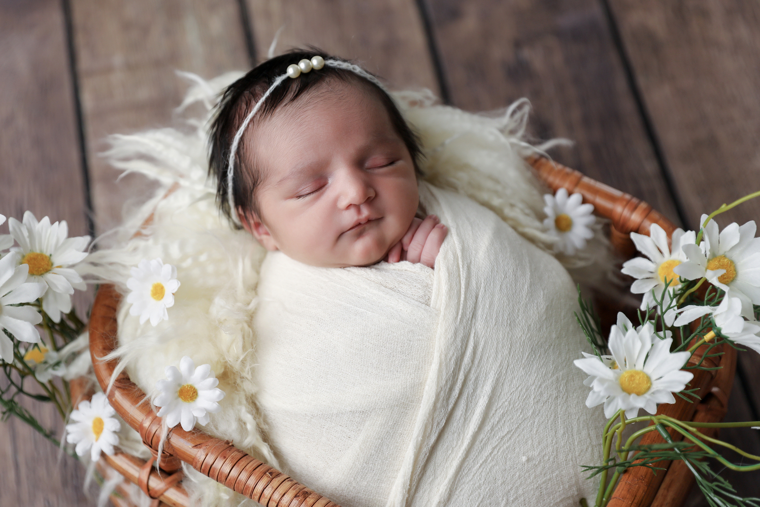 daisies and a little girl